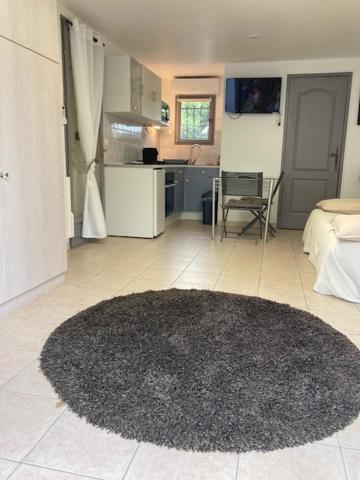 Studio Pied Dans L Eau La Londe-les-Maures Exterior photo